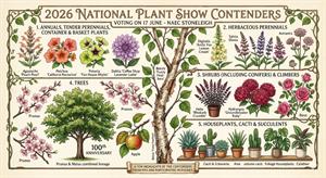 nps